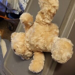 Stuffed Teddy Bear 🧸 🐻